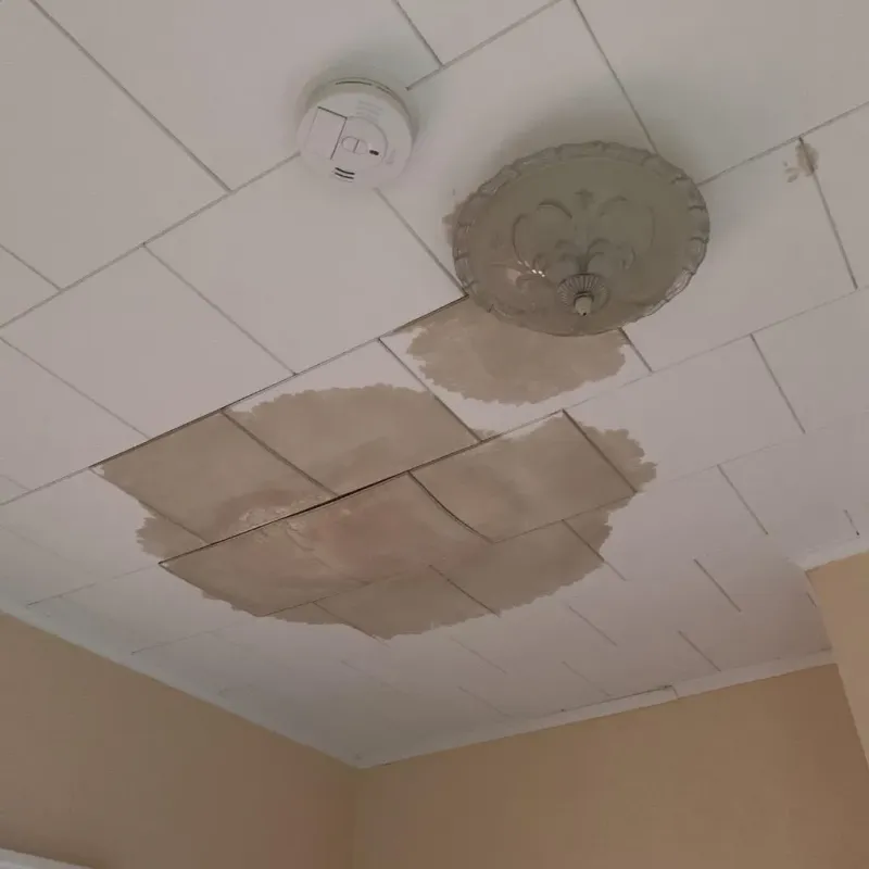 Ceiling Water Damage Repair in Buckingham County, VA