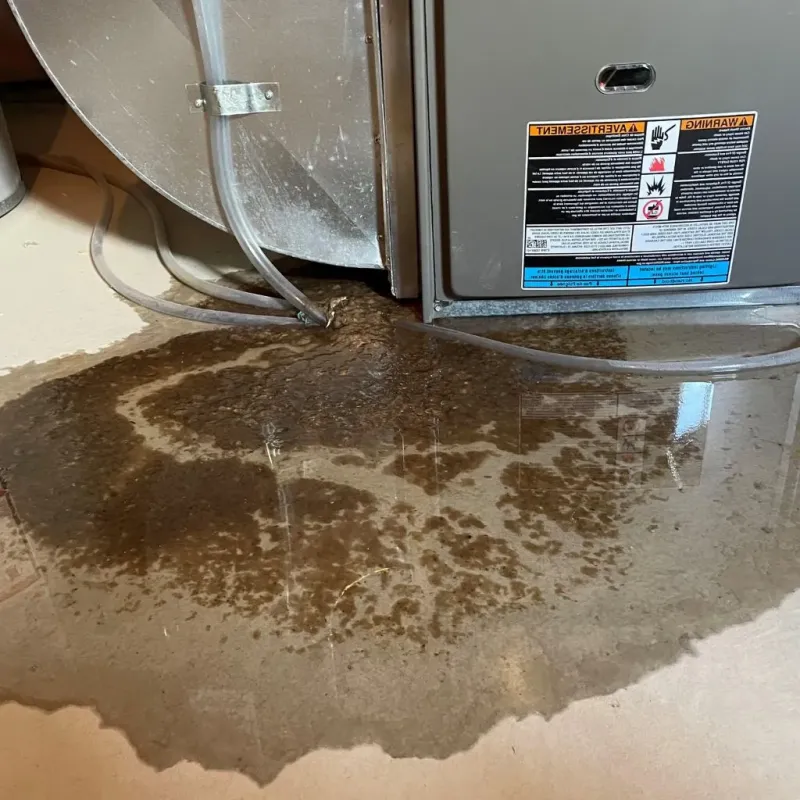 Pipe Burst and Leak Restoration in Buckingham County, VA
