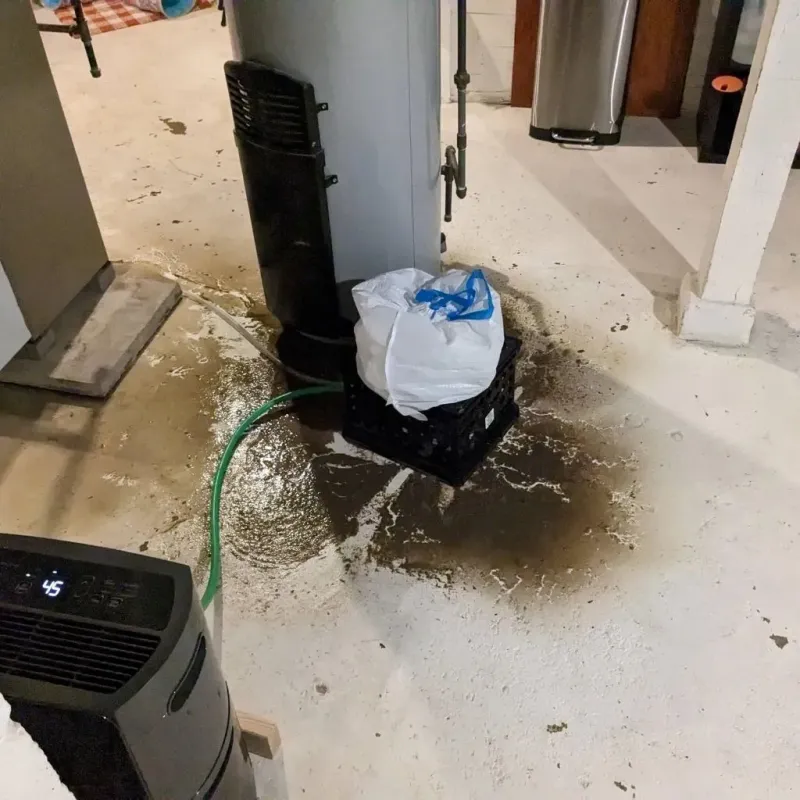 Sewage Backup Cleanup Service in Buckingham County, VA